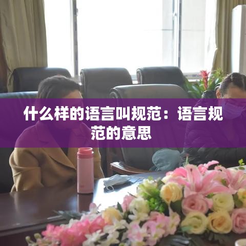 什么樣的語(yǔ)言叫規(guī)范：語(yǔ)言規(guī)范的意思 