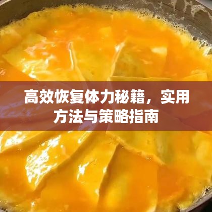 高效恢復(fù)體力秘籍，實(shí)用方法與策略指南