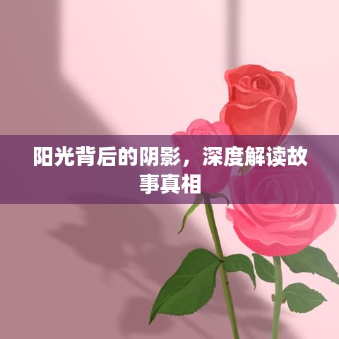 陽(yáng)光背后的陰影，深度解讀故事真相