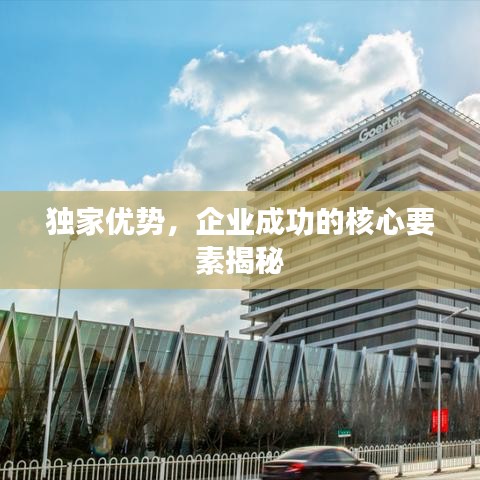 獨家優(yōu)勢，企業(yè)成功的核心要素揭秘