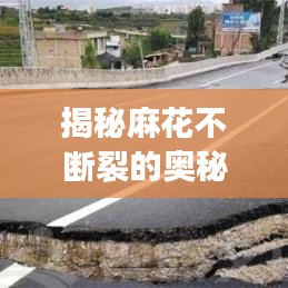 揭秘麻花不斷裂的奧秘，制作技巧全攻略