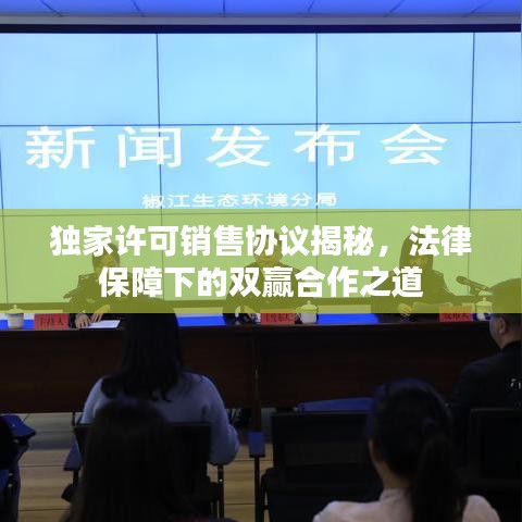 獨(dú)家許可銷售協(xié)議揭秘，法律保障下的雙贏合作之道