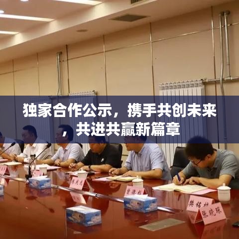 獨家合作公示，攜手共創(chuàng)未來，共進共贏新篇章