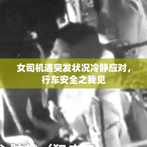 女司機遇突發(fā)狀況冷靜應(yīng)對，行車安全之我見