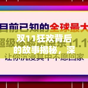 雙11狂歡背后的故事揭秘，深度報(bào)道，探尋購物盛宴的真相