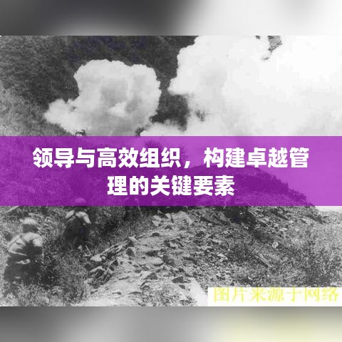 領(lǐng)導(dǎo)與高效組織，構(gòu)建卓越管理的關(guān)鍵要素