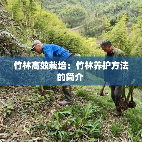 竹林高效栽培：竹林養(yǎng)護(hù)方法的簡介 