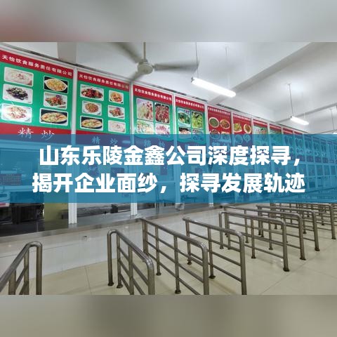 山東樂(lè)陵金鑫公司深度探尋，揭開(kāi)企業(yè)面紗，探尋發(fā)展軌跡