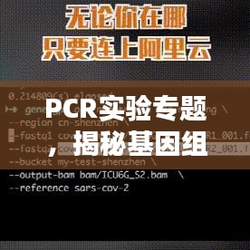 PCR實(shí)驗(yàn)專題，揭秘基因組奧秘探索之旅