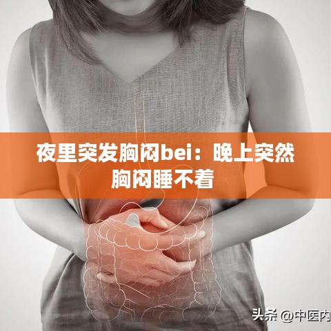 氣囊 第108頁