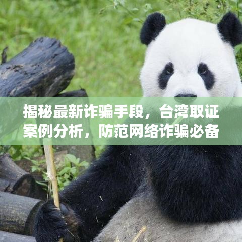 揭秘最新詐騙手段，臺(tái)灣取證案例分析，防范網(wǎng)絡(luò)詐騙必備知識(shí)