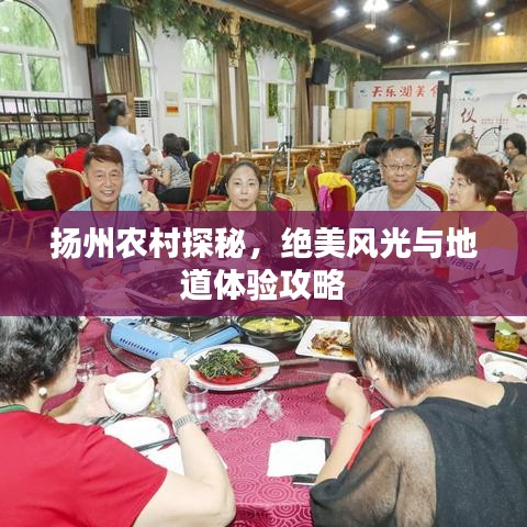 揚州農(nóng)村探秘，絕美風光與地道體驗攻略