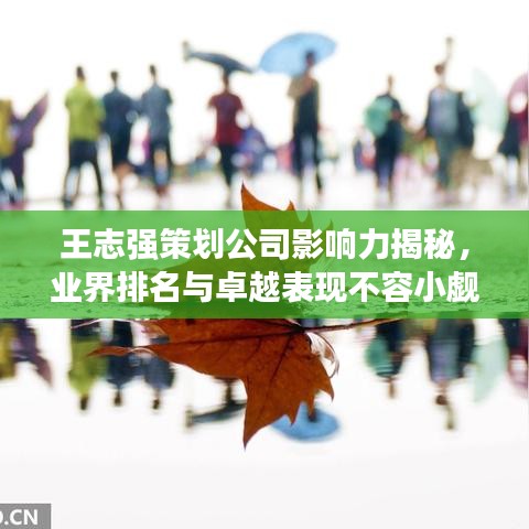 王志強(qiáng)策劃公司影響力揭秘，業(yè)界排名與卓越表現(xiàn)不容小覷
