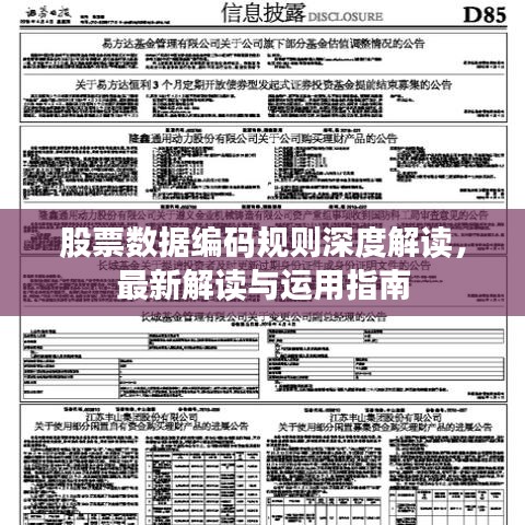 股票數(shù)據(jù)編碼規(guī)則深度解讀，最新解讀與運(yùn)用指南