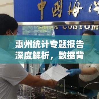 惠州統(tǒng)計(jì)專題報(bào)告深度解析，數(shù)據(jù)背后的真相與洞察