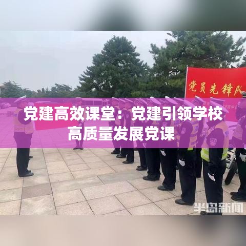 黨建高效課堂：黨建引領學校高質量發(fā)展黨課 