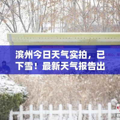一言九鼎 第3頁