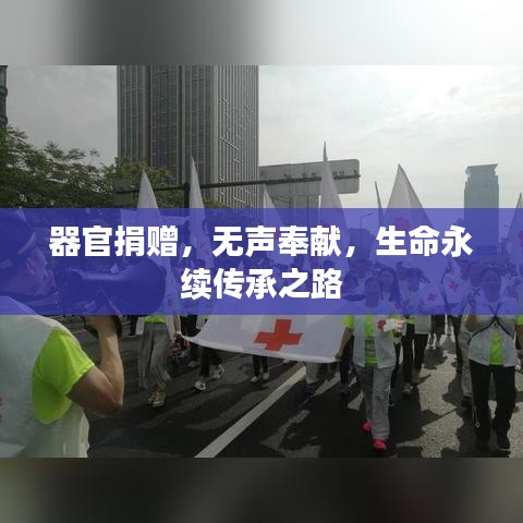 器官捐贈，無聲奉獻，生命永續(xù)傳承之路