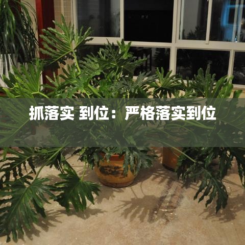 朱唇粉面 第3頁