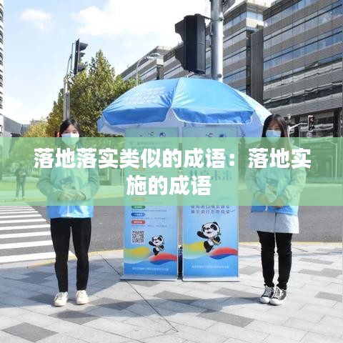 落地落實(shí)類(lèi)似的成語(yǔ)：落地實(shí)施的成語(yǔ) 