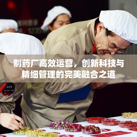 制藥廠高效運營，創(chuàng)新科技與精細管理的完美融合之道