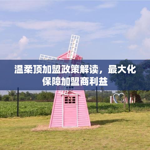 溫柔頂加盟政策詳解，最大化保障加盟商利益