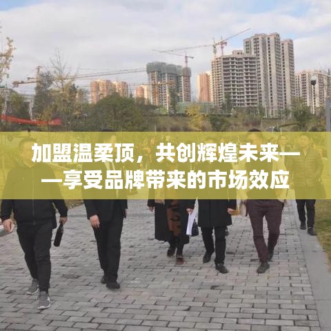 加盟溫柔頂，共創(chuàng)輝煌未來，品牌市場(chǎng)效應(yīng)等你來享