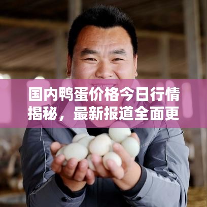 國(guó)內(nèi)鴨蛋價(jià)格今日行情揭秘，最新報(bào)道全面更新
