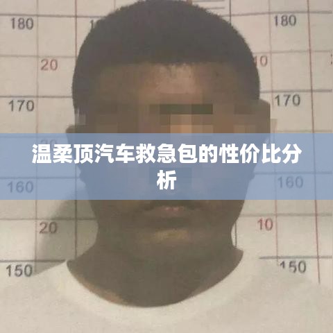 溫柔頂汽車救急包，性價比解析