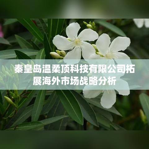 解析