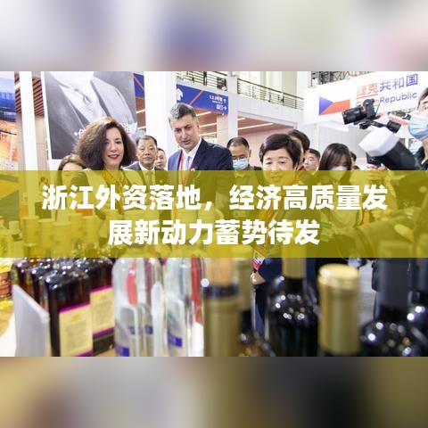 浙江外資落地，經(jīng)濟高質量發(fā)展新動力蓄勢待發(fā)