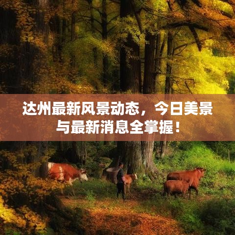 達(dá)州最新風(fēng)景動(dòng)態(tài)，今日美景與最新消息全掌握！