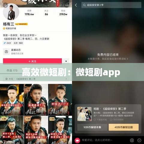 高效微短?。何⒍虅pp 