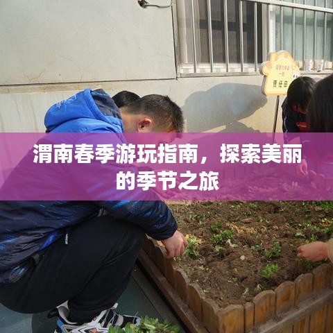 渭南春季游玩指南，探索美麗的季節(jié)之旅