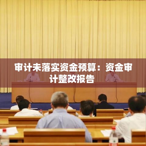 審計未落實資金預算：資金審計整改報告 