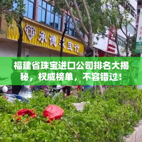 福建省珠寶進(jìn)口公司排名大揭秘，權(quán)威榜單，不容錯過！