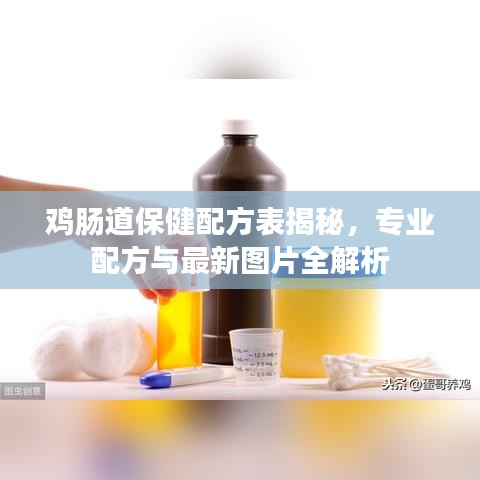 雞腸道保健配方表揭秘，專業(yè)配方與最新圖片全解析