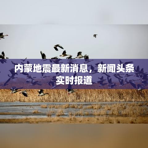 內(nèi)蒙地震最新消息，新聞頭條實(shí)時報道