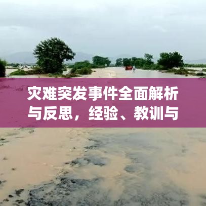 災(zāi)難突發(fā)事件全面解析與反思，經(jīng)驗、教訓(xùn)與應(yīng)對策略