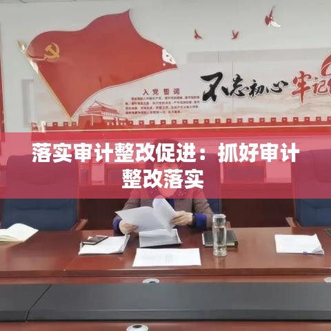 落實審計整改促進(jìn)：抓好審計整改落實 