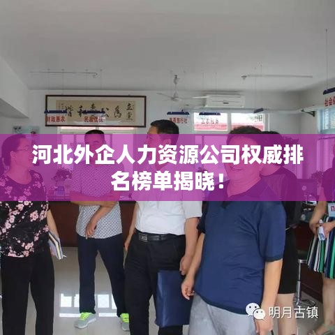 河北外企人力資源公司權(quán)威排名榜單揭曉！