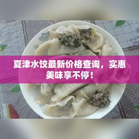夏津水餃最新價格查詢，實惠美味享不停！