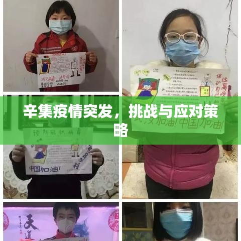 辛集疫情突發(fā)，挑戰(zhàn)與應對策略