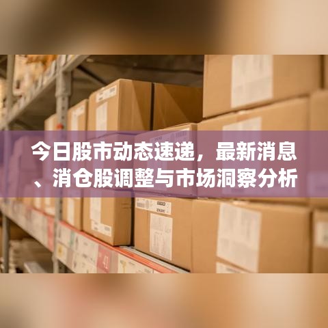今日股市動(dòng)態(tài)速遞，最新消息、消倉(cāng)股調(diào)整與市場(chǎng)洞察分析