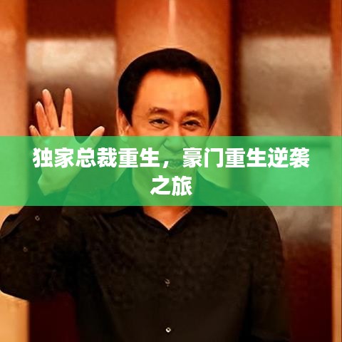 獨家總裁重生，豪門重生逆襲之旅