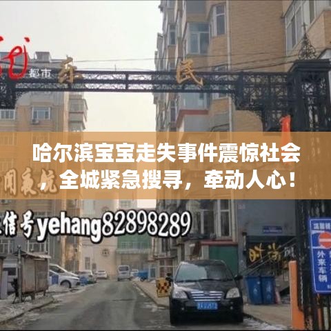 哈爾濱寶寶走失事件震驚社會(huì)，全城緊急搜尋，牽動(dòng)人心！