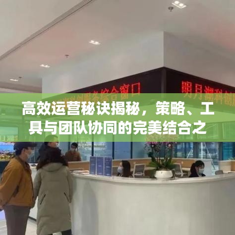 高效運(yùn)營(yíng)秘訣揭秘，策略、工具與團(tuán)隊(duì)協(xié)同的完美結(jié)合之道