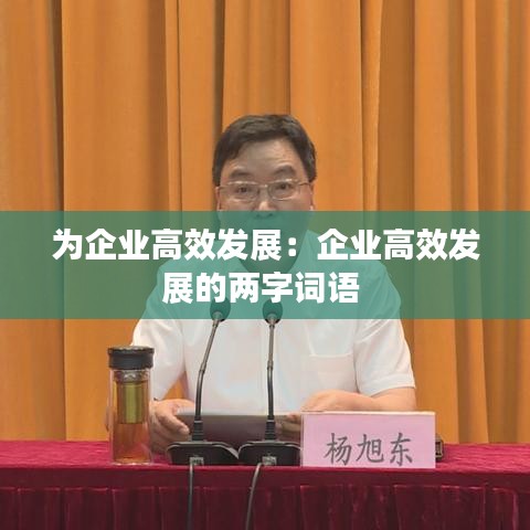 為企業(yè)高效發(fā)展：企業(yè)高效發(fā)展的兩字詞語(yǔ) 
