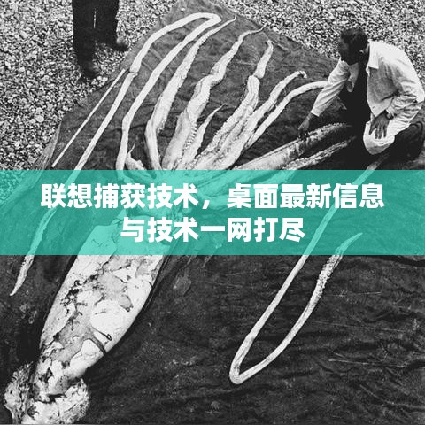 聯(lián)想捕獲技術(shù)，桌面最新信息與技術(shù)一網(wǎng)打盡