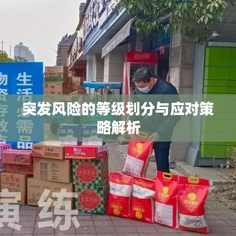 突發(fā)風(fēng)險(xiǎn)的等級劃分與應(yīng)對策略解析